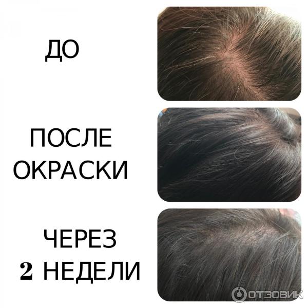 Краска-мусс для волос Schwarzkopf Perfect Mousse фото