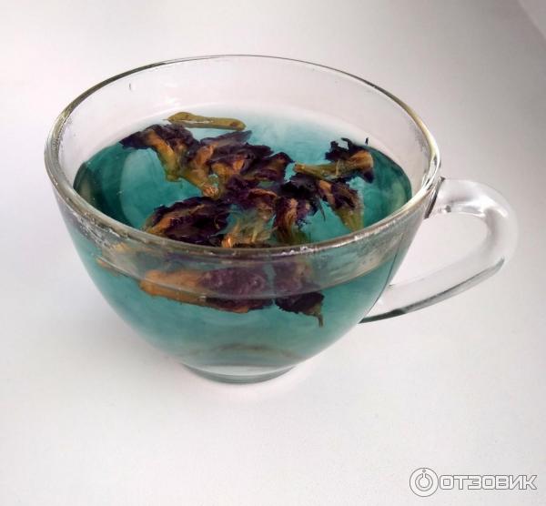 Синий чай Butterfly Pea Tea Орхидея тайская фото