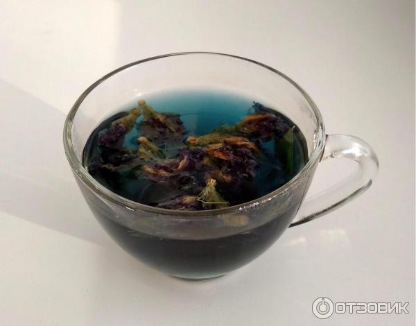 Синий чай Butterfly Pea Tea Орхидея тайская фото