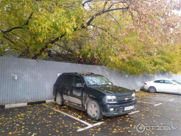 Автомобиль Chevrolet Trailblazer внедорожник фото