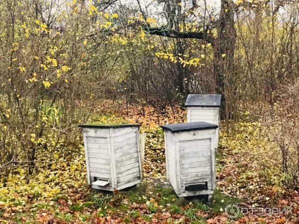 Музей под открытым небом Skansen фото