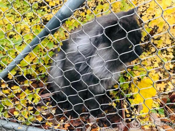 Музей под открытым небом Skansen фото