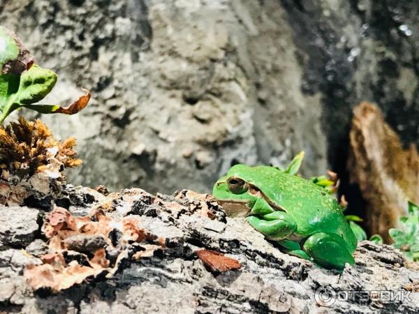 Музей под открытым небом Skansen фото