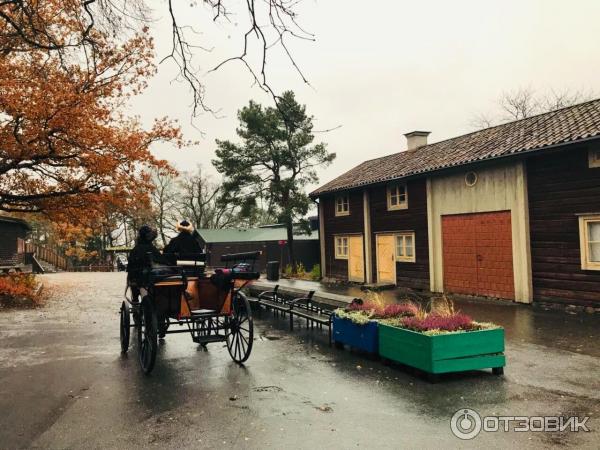 Музей под открытым небом Skansen фото