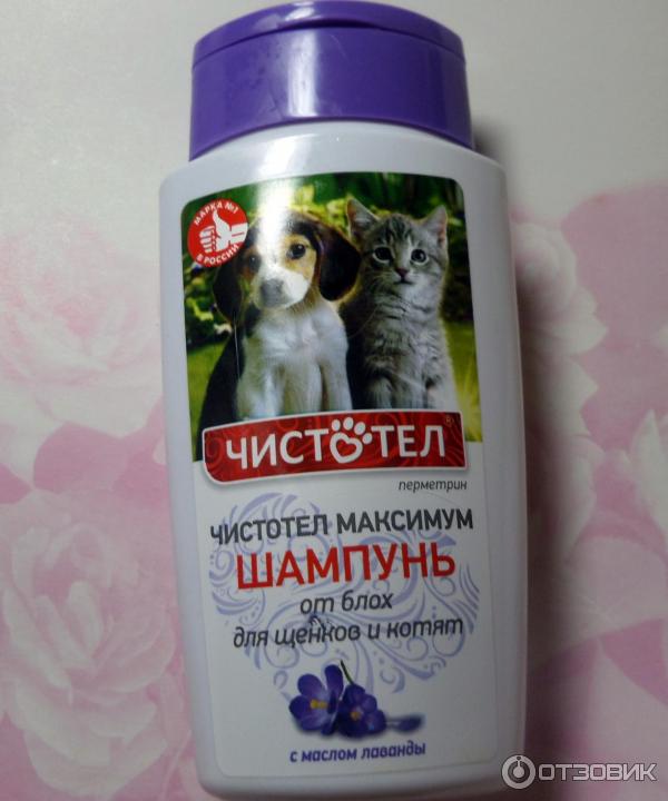 Можно ли мыть кошку шампунем от блох. Шампунь от блох для щенков. шампунь для кошек от выпадения шерсти. шампунь от блох для котят 1 месяц. шампунь чистотел для кошек от блох.