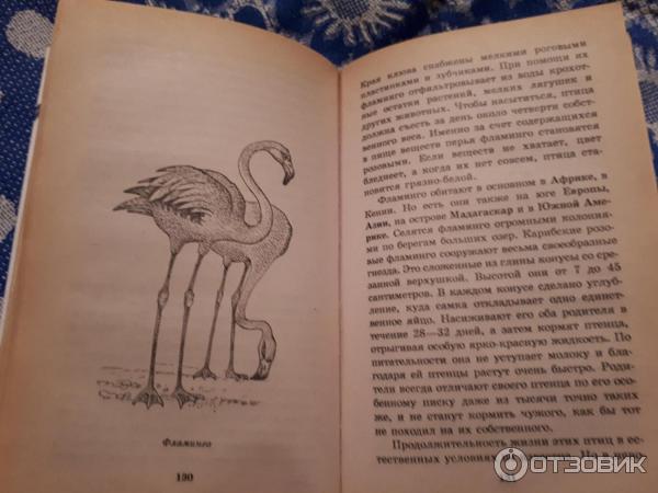 Детская книга Я познаю мир: Животные - П. Р. Ляхов фото