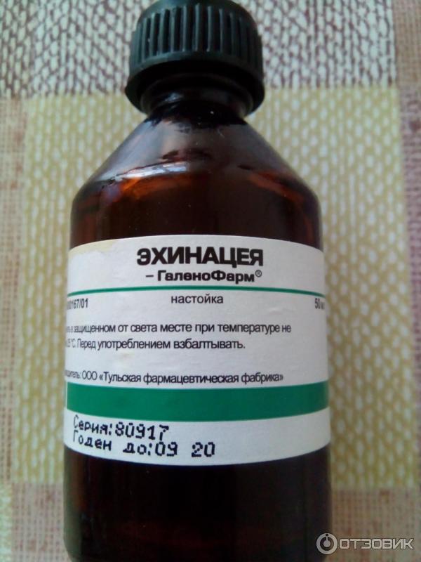 Настойки Для Иммунитета В Аптеке Купить