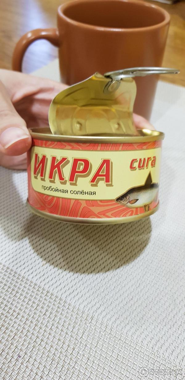 Икра Сига Купить