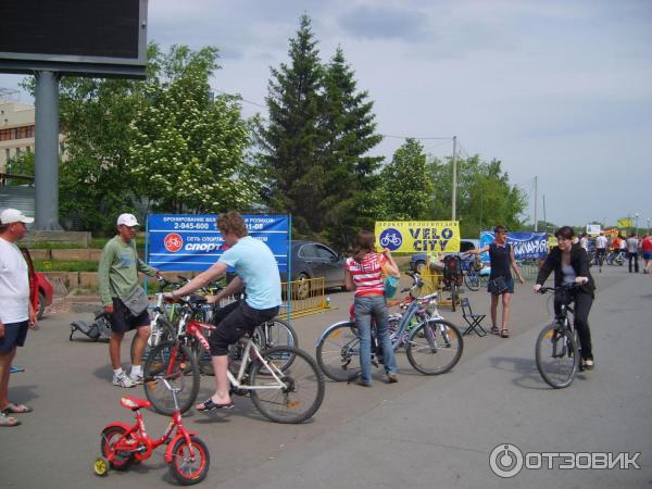 Остров татышев красноярск лето. Остров татышева красноярск прокат. Парк татышева красноярск. Велосипеды на татышева красноярск. Прокат велосипедов на татышева красноярск.