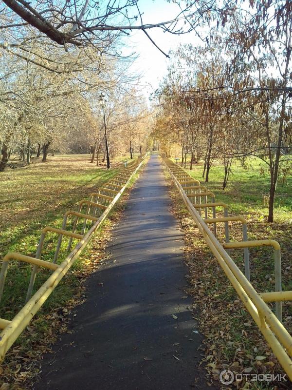 Парк расковой саратов фото Отзыв о Парк имени М.М. Расковой (Россия, Саратов) Приятно прогуляться