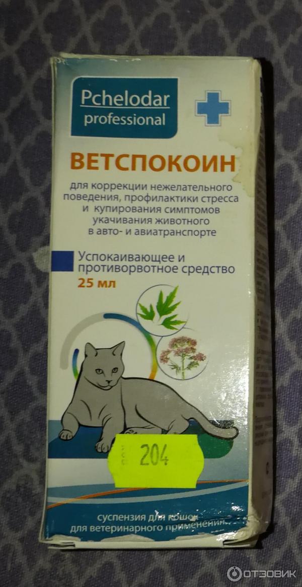 Снотворное для кошек
