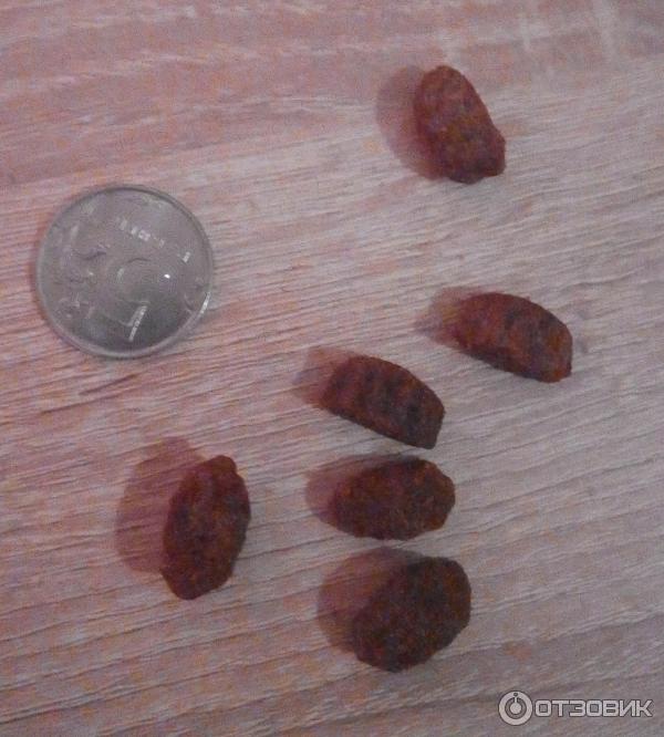 Корм для собак All dogs фото