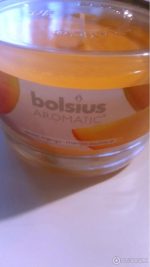 Свеча Bolsius Aromatic exotic mango