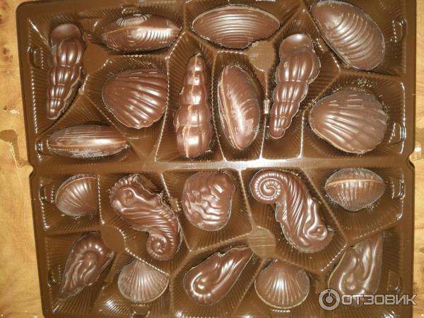 Конфеты шоколадные с начинкой VandenBulcke 20 Dark Chocolate Seashells фото