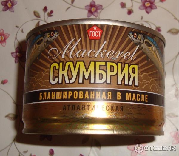 скумбрия