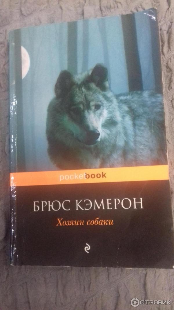 Другие хозяева книга. Брюс Кэмерон "хозяин собаки". Книга хозяин собаки. Брюс книги о животных. Брюс Кэмерон фото.