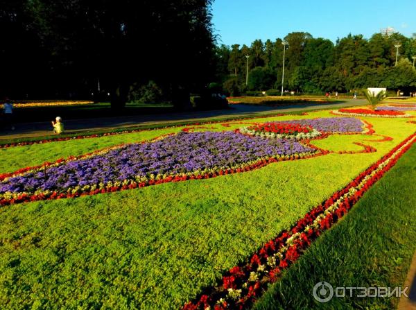 Центральный парк культуры и отдыха им. М. Горького (Казахстан, Алматы) фото