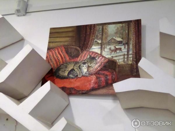 Выставка Теплые коты в библиотеке Гоголя (Россия, Санкт-Петербург) фото