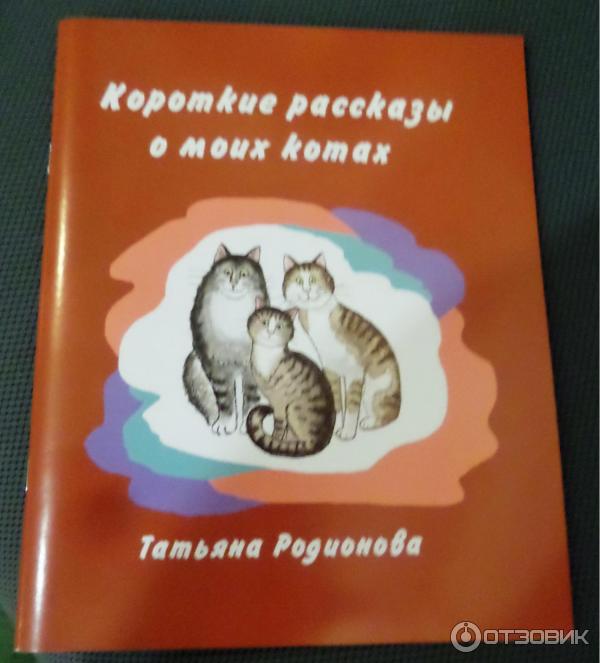 Выставка Теплые коты в библиотеке Гоголя (Россия, Санкт-Петербург) фото