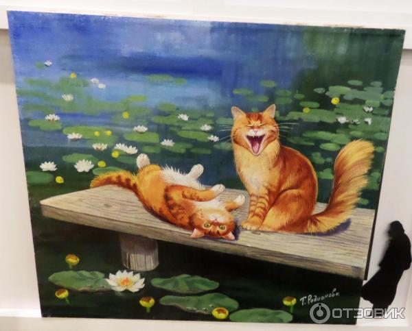 Выставка Теплые коты в библиотеке Гоголя (Россия, Санкт-Петербург) фото
