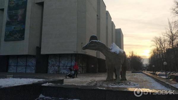 Государственный Дарвиновский музей (Россия, Москва) фото