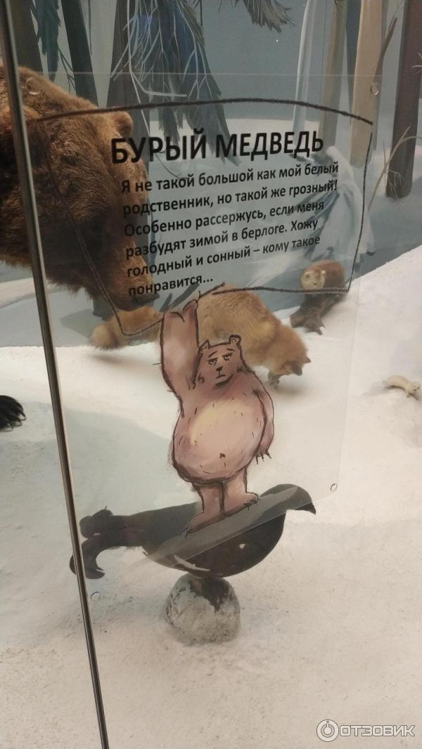 Государственный Дарвиновский музей (Россия, Москва) фото