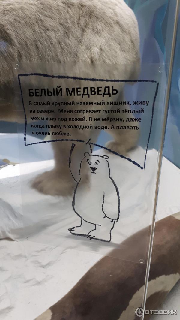 Государственный Дарвиновский музей (Россия, Москва) фото