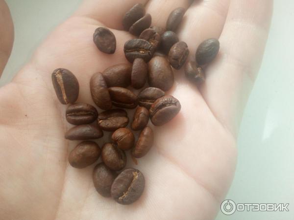 Кофе натуральный жареный в зернах Rioba Espresso 100 процентов Arabica in Grani