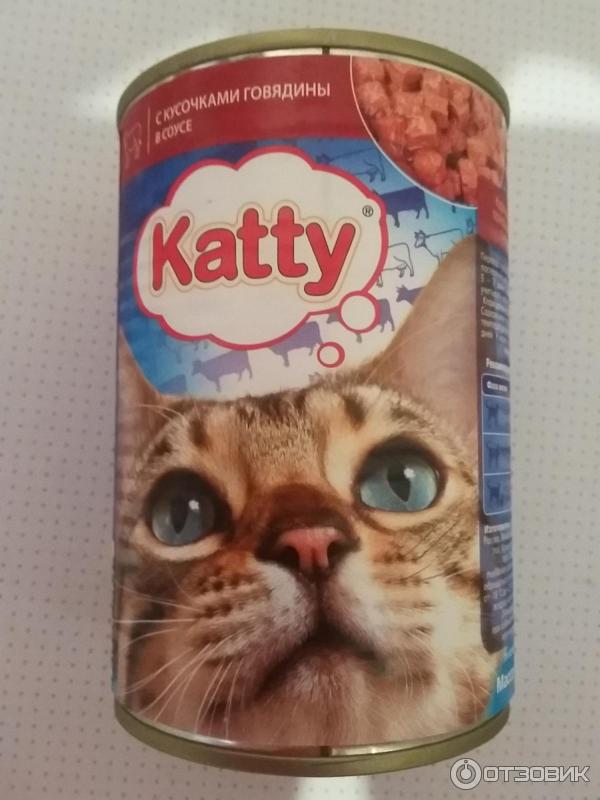 Влажный Корм Для Кошек Katty Купить