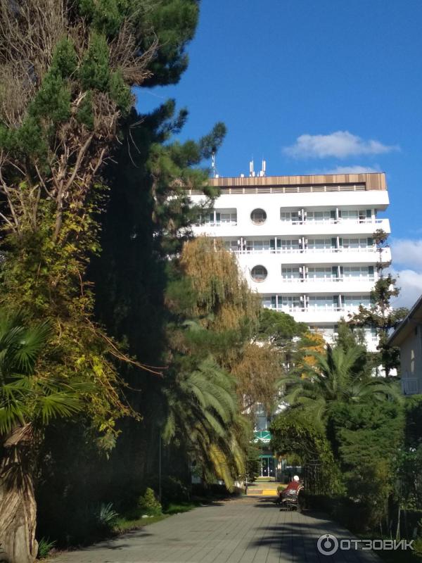 Сочи Фрунзе Фото