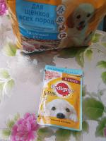 Собачий корм Pedigree Для щенков фото