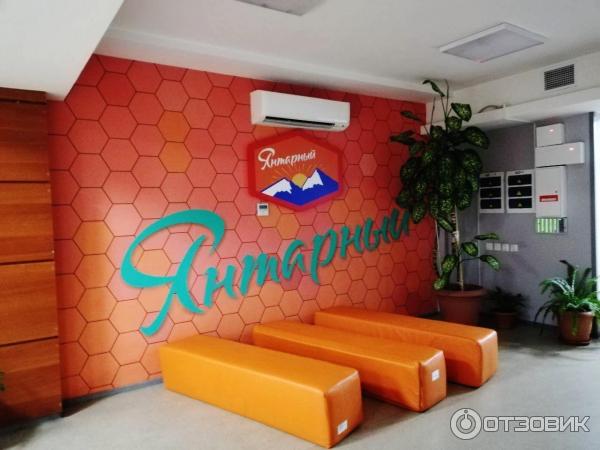 артек комнаты янтарный