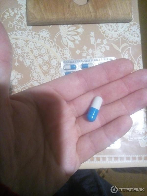 Правенор фото