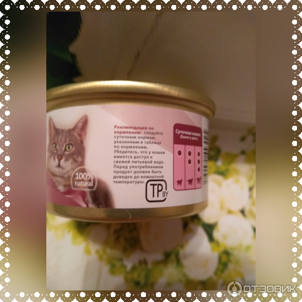 Влажный корм для кошек с тунцом и лососем Brit Care Tuna & Salmon фото