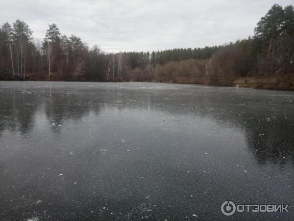 Кунеевский лес (Россия, Тольятти) фото