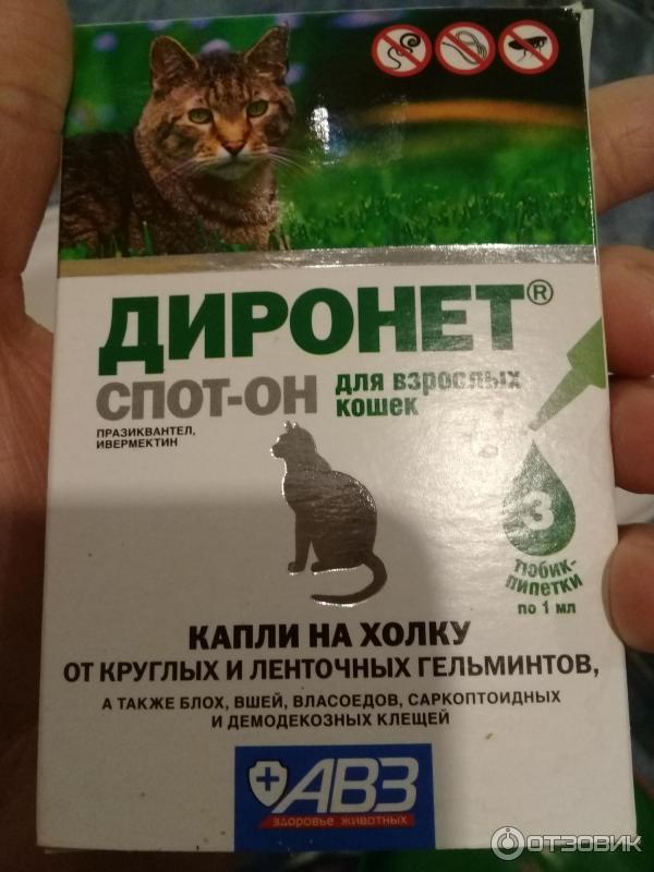 Отзыв о Капли на холку для взрослых кошек АВЗ "Диронет спот-он" | В ...