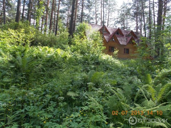 Два медведя, база отдыха фото