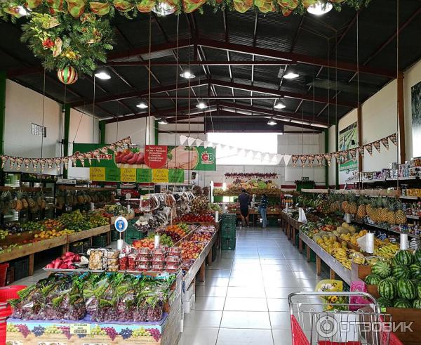 Отзыв о Сеть магазинов "La Gran Bodega de las Frutas y Verduras" (Коста ...