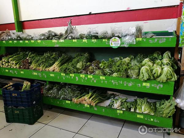 Отзыв о Сеть магазинов "La Gran Bodega de las Frutas y Verduras" (Коста ...
