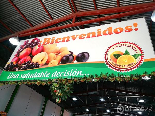 Отзыв о Сеть магазинов "La Gran Bodega de las Frutas y Verduras" (Коста ...