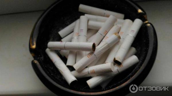 Комплект Philip Morris IQOS фото