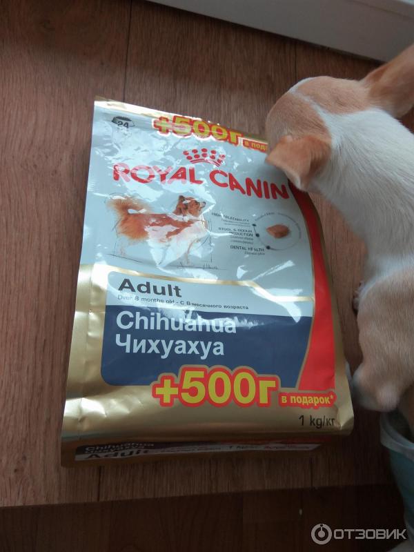 Сухой корм для собак Royal Canin фото