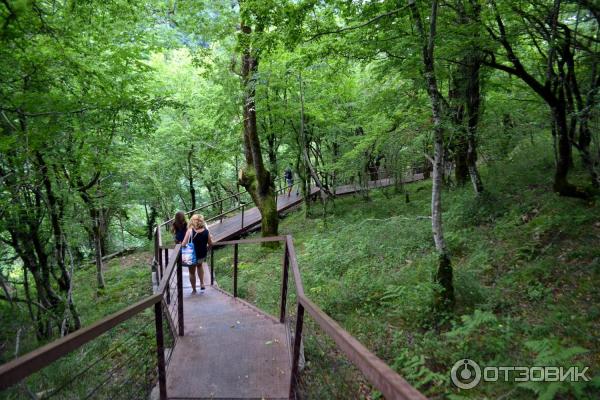 Экскурсия в каньон Окаце (Грузия, Имеретия) фото