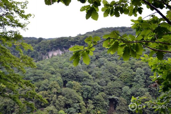 Экскурсия в каньон Окаце (Грузия, Имеретия) фото