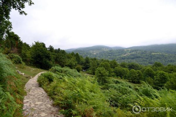 Экскурсия в каньон Окаце (Грузия, Имеретия) фото