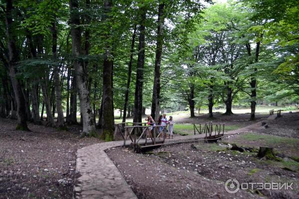 Экскурсия в каньон Окаце (Грузия, Имеретия) фото