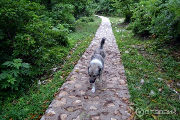 Экскурсия в каньон Окаце (Грузия, Имеретия) фото