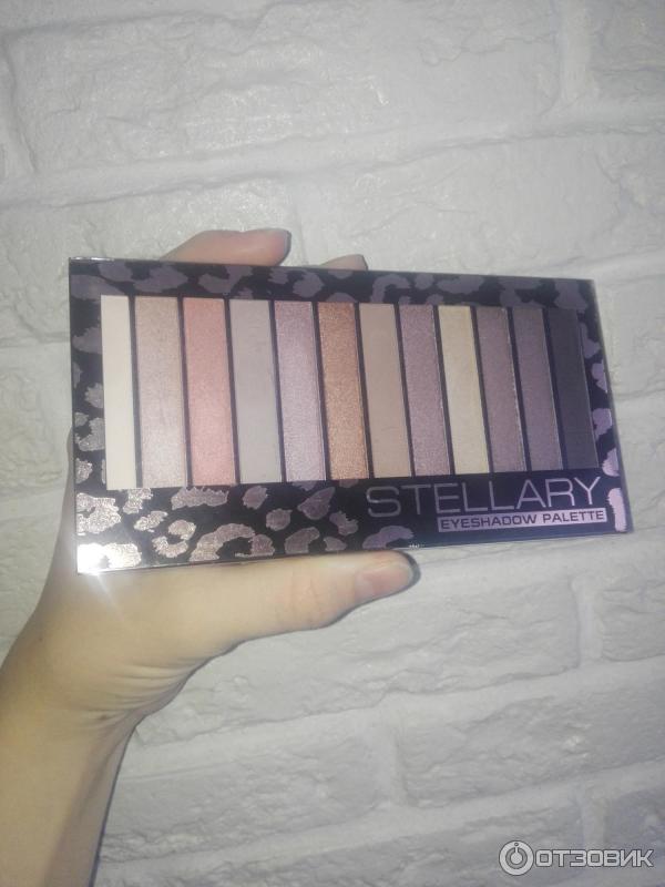 Палетка теней для век STELLARY 12 цветов Eyeshadow Pallete фото