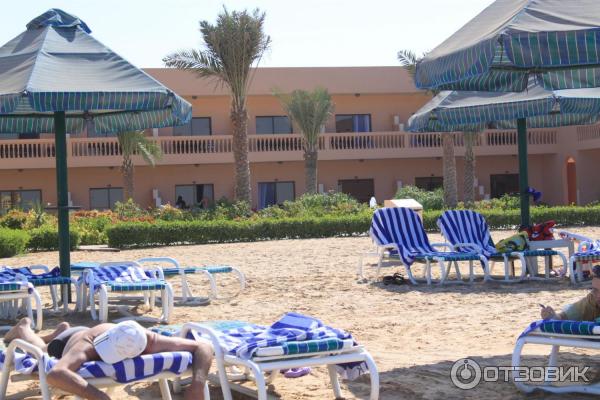 Отель Bin Majid Beach Resort 4* (ОАЭ, Рас Аль Хайма) фото