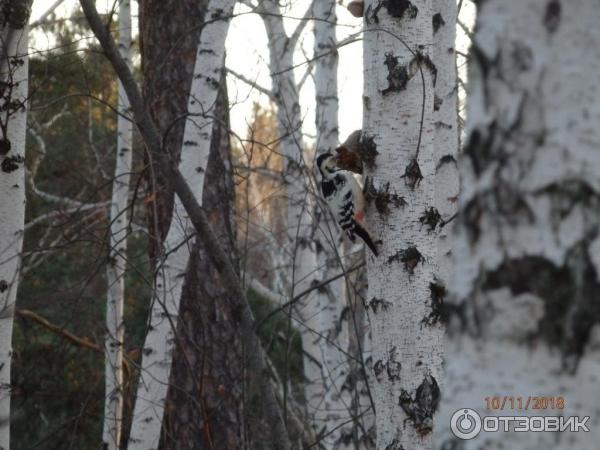 санаторий Сунгуль